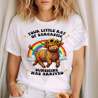 YOUR LITTLE RAY OF SARCASTIC SUNSHINE HAS ARRIVED -   DTF TRANSFER