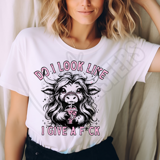 DO I LOOK LIKE I GIVE A FUCK  -   DTF TRANSFER