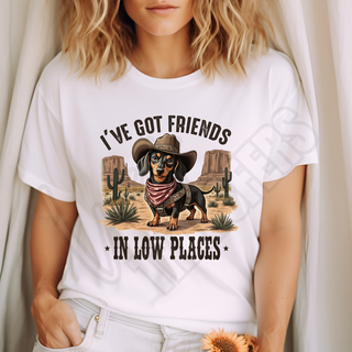 LUXY TRANSFERS IVE GOT FRIENDS IN LOW PLACES -  DTF TRANSFER